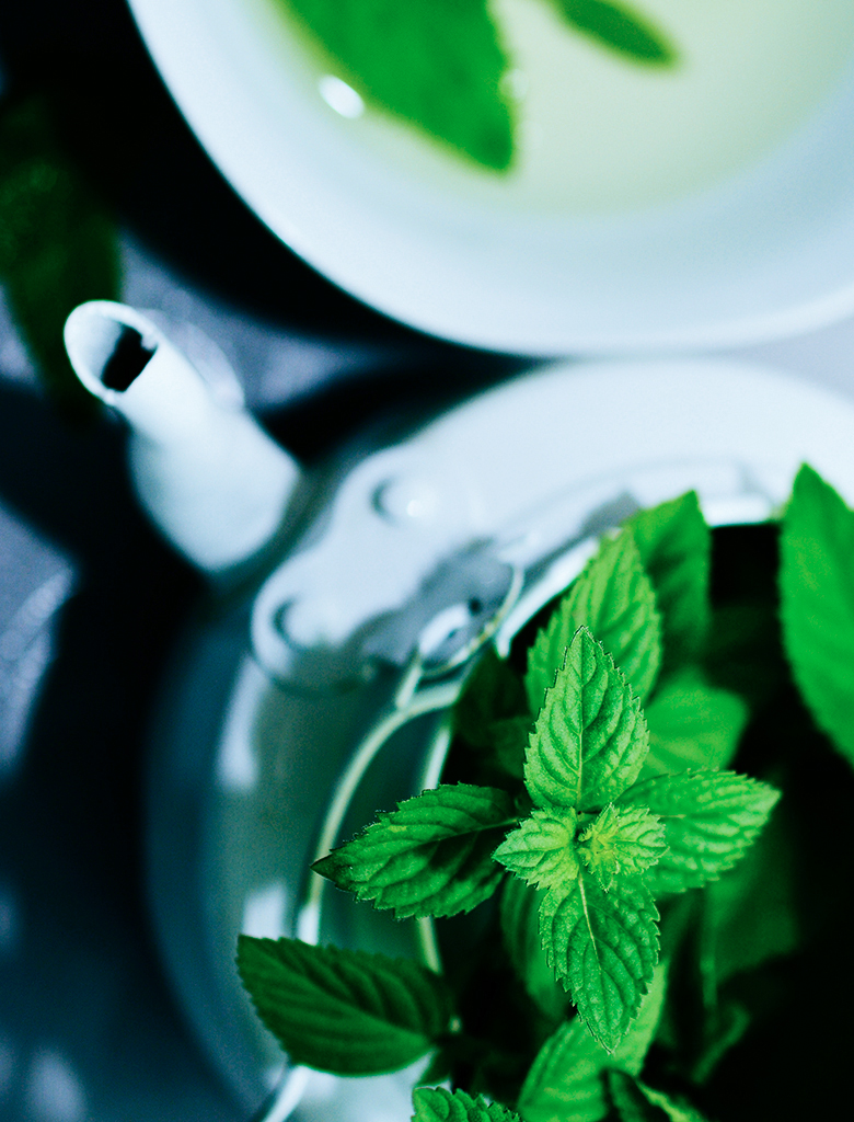 Phytotherapie & Schüssler Salze